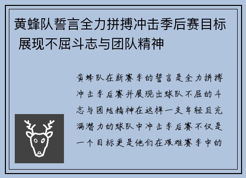 黄蜂队誓言全力拼搏冲击季后赛目标 展现不屈斗志与团队精神