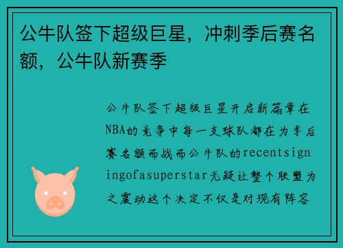 公牛队签下超级巨星，冲刺季后赛名额，公牛队新赛季