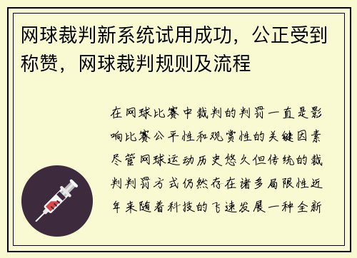 网球裁判新系统试用成功,公正受到称赞,网球裁判规则及流程